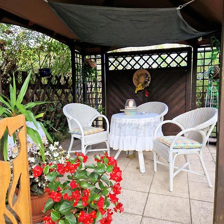 Ahlbeck, Ferienobjekt Apfel-Blume-Veilchen Apartment Heringsdorf  Ngoại thất bức ảnh